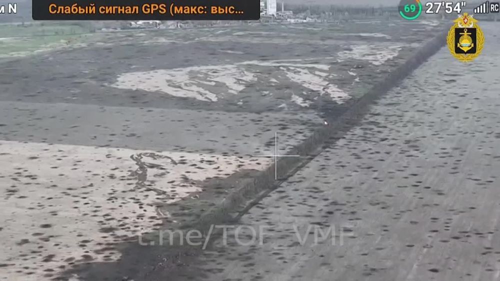 ������ �������: ���������� ������� ������ ��� ��� ������ ���������� ���������� ���������������� �113 ������������� ������������ �� ����������� �����������