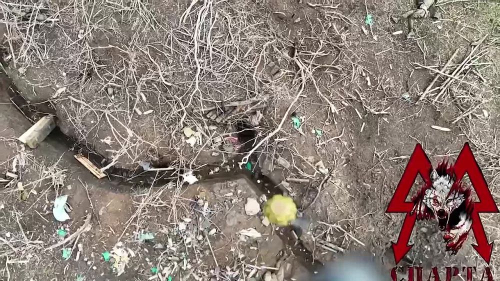 Юрий Котенок: Авдеевское направление — новая подборка «подарков» для ВСУ от ОРБ «Спарта»