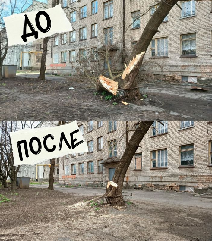 Руслан Дудников: Яркий пример того, что чистота зависит от каждого из нас! Благодарю всех, кто делает город чище каждый день!