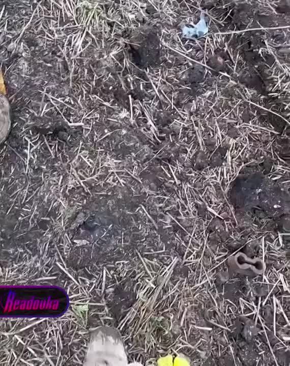 �������� � ������� ���������� ��� ����� ���������������� ��� ���������� �������, ������ �������� ���������� ���������� �������� ������� ���� � ��������