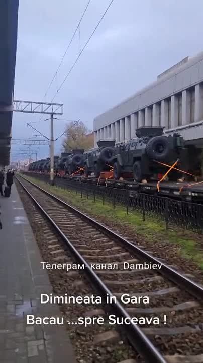 ������ �������: � ������� ������� ������ � ������ ��������� ����������������� Otokar Cobra II, ��� ����������, ���������������� ��� �������