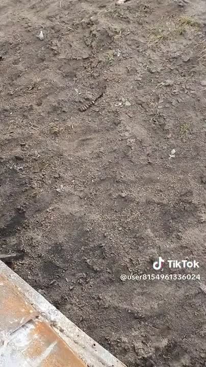 ������ �������: ������������ �� ���������� ����������� ���������� ���-2