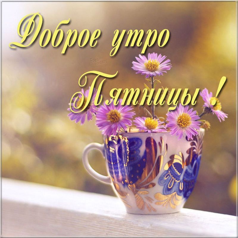 ������� �������: