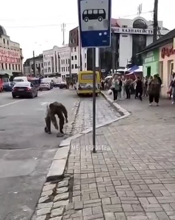Виталий Киселев: В Ивано-Франковске совсем не хотят ехать под Артёмовск