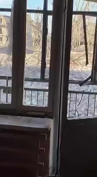 ��������.