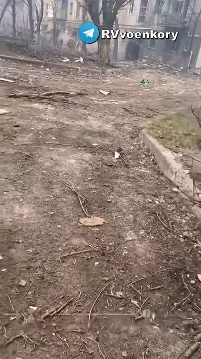 �������� ������� �������� ���� ������ ������ � �������