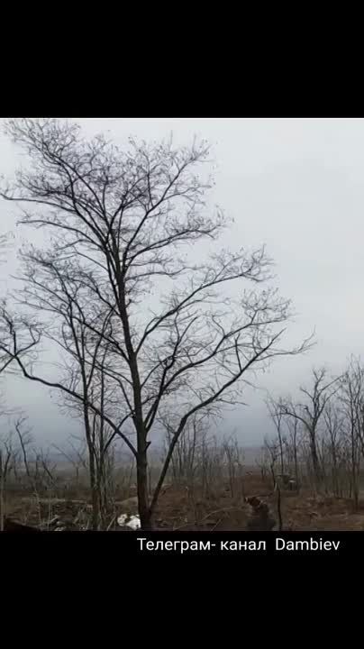 ������ �������: ���������� ��-25 ��� ������ �������� �� �������� ��� �� ����������� �����������