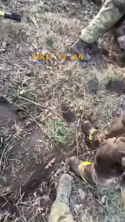 ������������ ���������� ������� �� ���������� (�������)