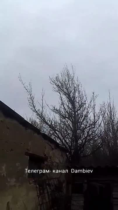 ������ �������: ��������� �������������� ��-24 ��� "������" � ������ ���������� (�������)