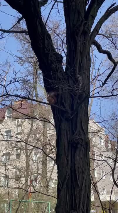 ������ � ����� .. ���� � ����������!