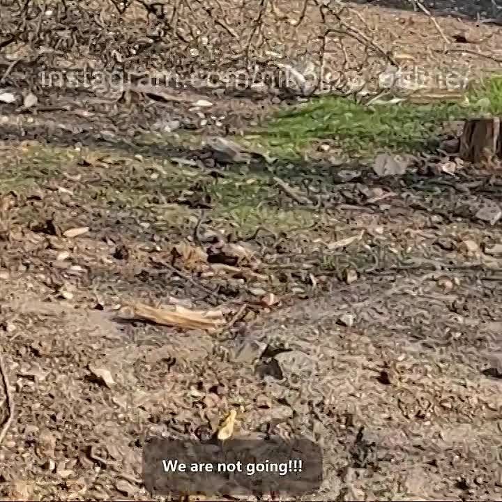 ��������� ���������� ������������ ������ � �������� ��� ����������, ��� ����� �� ���������� �������������� ���������