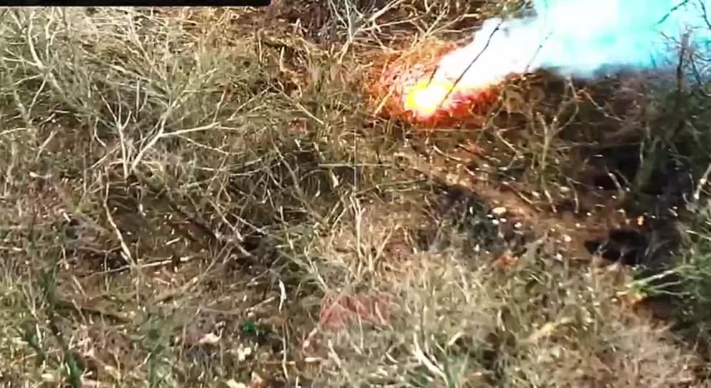 ��������� �� wargonzo. ������� ��������� �������� ��� ������� �������