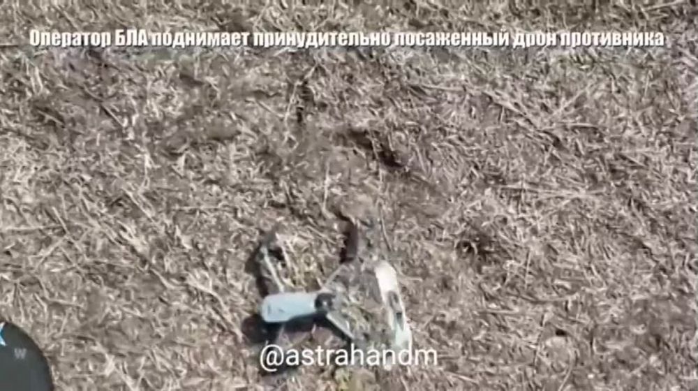 ��������� ��� 132-� ������� 1-�� �� 8-� ����� ��� �� ������ ���������, ����� ������ ������������ ������������� �� ���������� �����������
