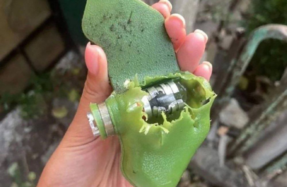 ���� ��������: �������� ���! �� �������� � ������ ������ ������� �� ����� "��������" ����������� ��� ��� ������ ������