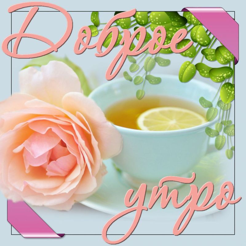������� �������:
