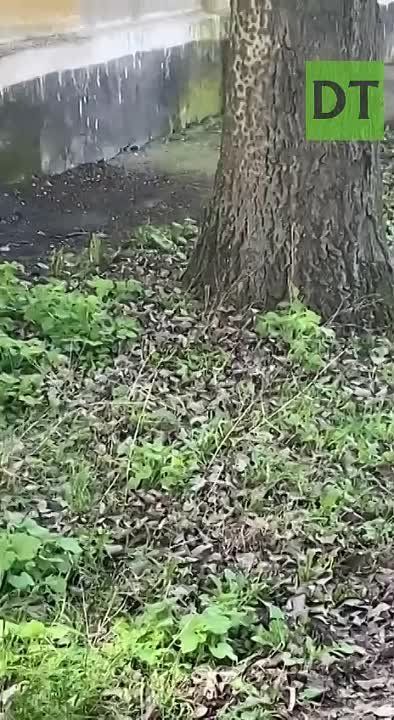 ��� ����� ����� �������� ������������� ����� ����� ����� �� ��. ���������� � ������������ ������ �������