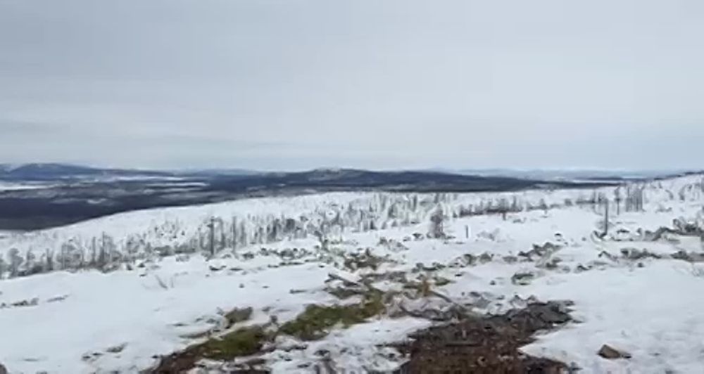 ������ �������� ���������-������� �� �������� �� �������� ������� ����� ����������