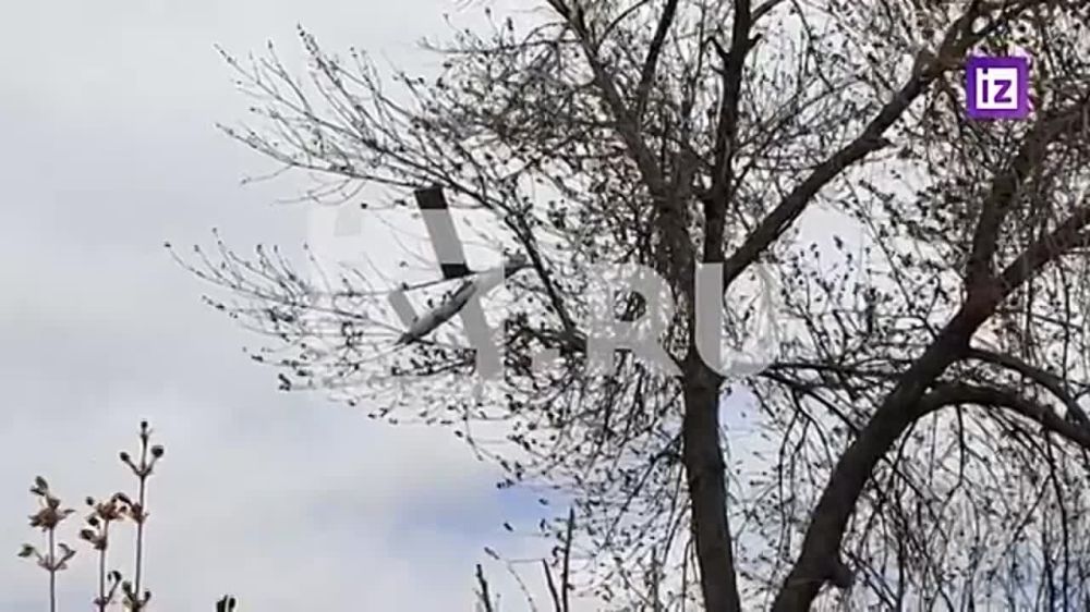 Ударный беспилотник ВСУ американского производства сбили в Донецке, сообщает корреспондент "Известий" Евгений Быковский