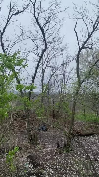 ������ �������: ������� "�����" �������� �� �������� ��� �� ����������� �����������