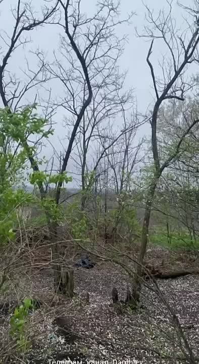 � ��� � ������ ����� ������ �� �������� ������� �� ����������� �����������