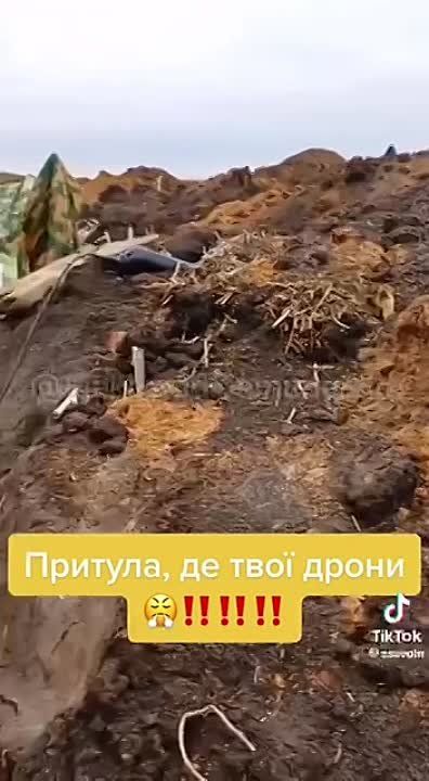 �������� ������ ���������� ��������� ������ ������� � ������ ��������� �� ������ ���