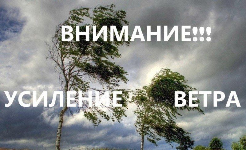 ������� �������: ��������� ��������������