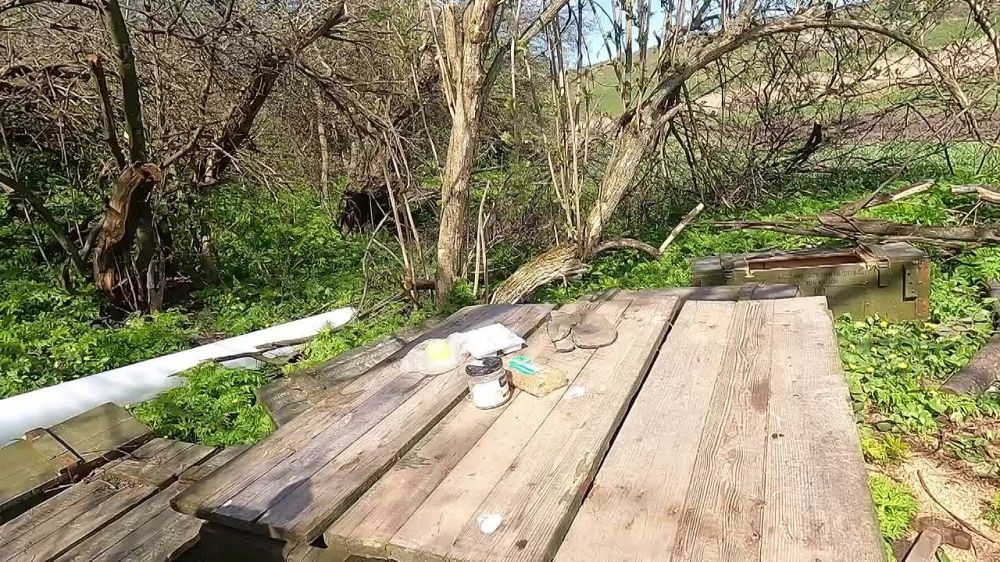 ����� ������: ������� ����� � �������� �� ������� �����������