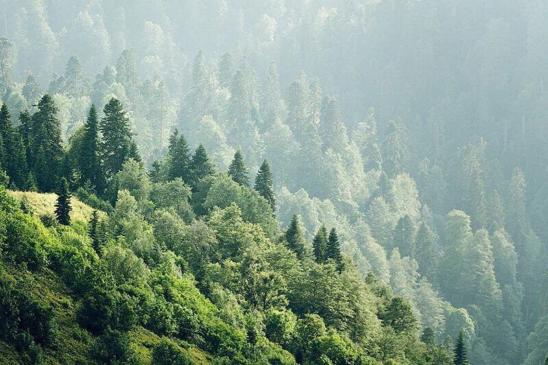 ���. ��� ������� 300 �������� ���� ������ ������������ ������