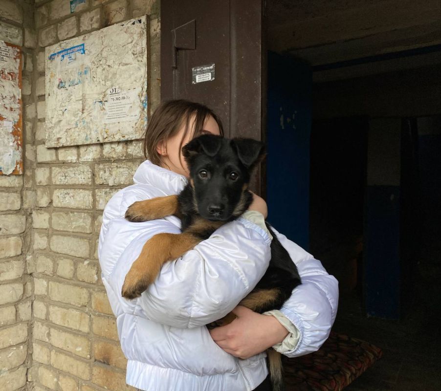 ������� ��������: �������� �������, ������� ����� ��� ��������