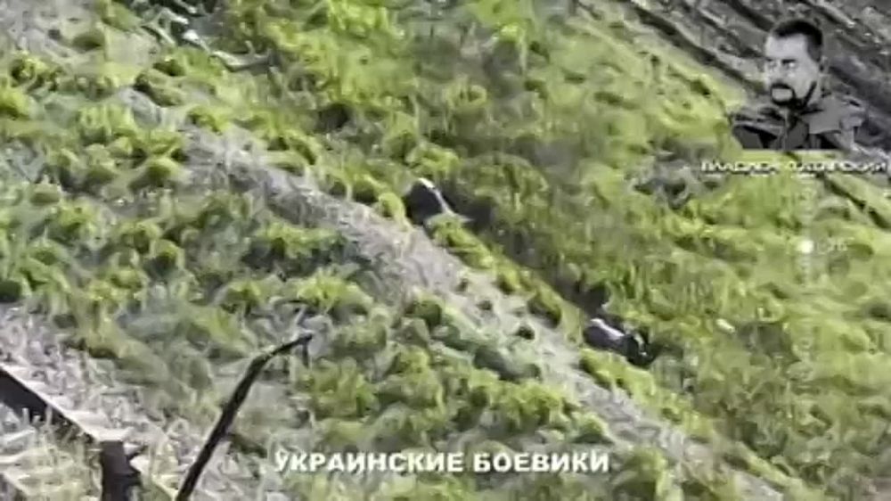 ������� ���������: ������ "������" 132 ������� 1 ��������� ���������� �������(������ 3 �������)