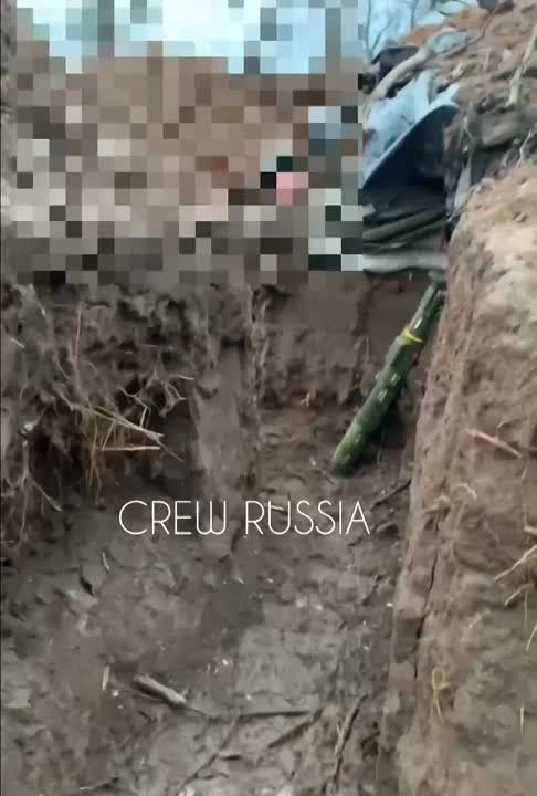�����, ������� � �������� ������� ��� �� ���������� �����������