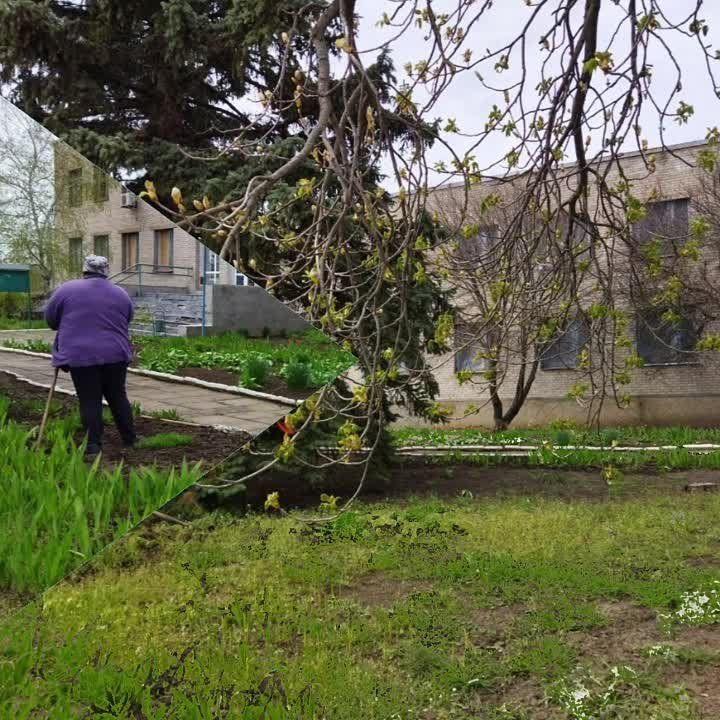 � ������ ������������ ����������� �� ��������������� ���������� �������