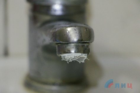 ����������� ������������ � ����� � ������ ���� � �������� ��� 20 ������