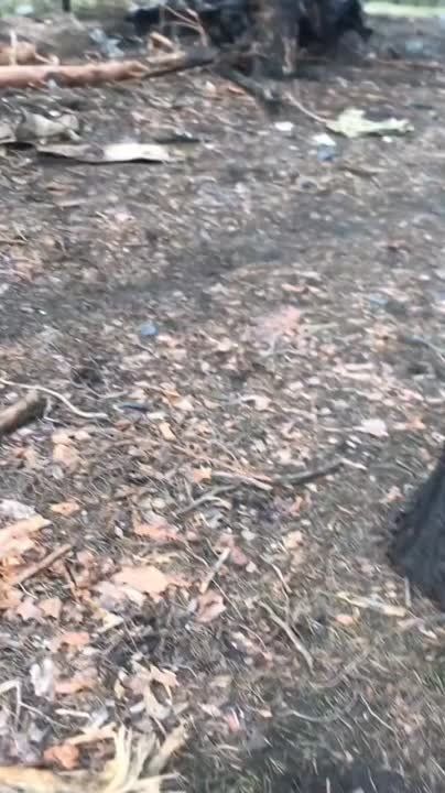����������� ������� ��� �� �������-���������� �����������