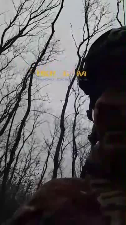 ������������ ���������� ���-80 � ������ ���������� (�������)