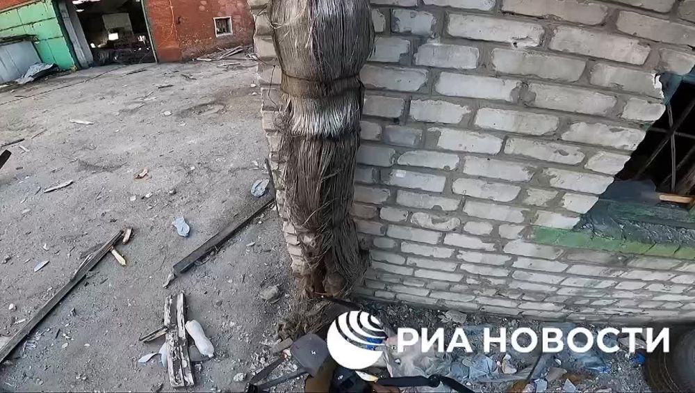 �������� ����� ��� "������" �������� ��� �����������, ������� ������� ����������