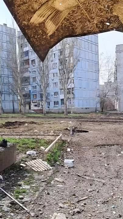 ���������� ������������ ������������� � �������� ������� ���������� (�������)