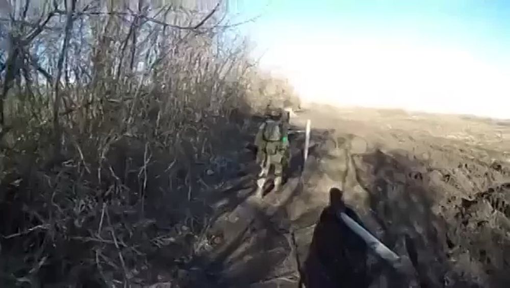 ����� ��������� �� ���������