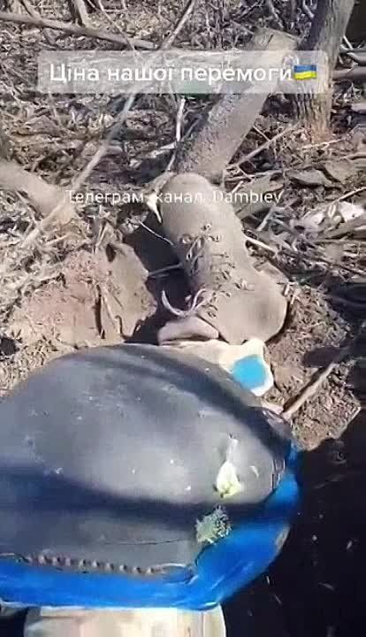 ������ �������: "���� "���������" � ����� "���������", � "������"