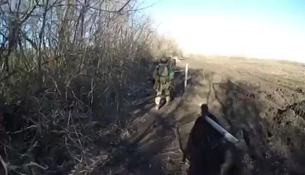 ������ �������: ������������ ���������� �������������� �� �������� ��� ��� �����������