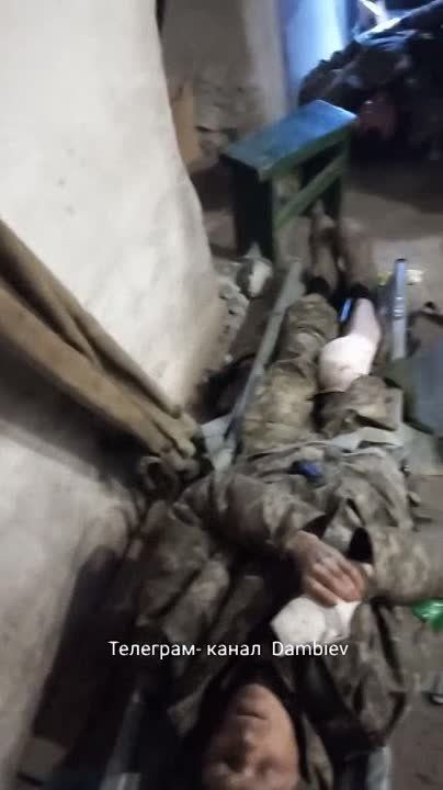 ������ �������: ����������������� ������� ��������� ��������� � ������� ����������� � �������� ����� ����������