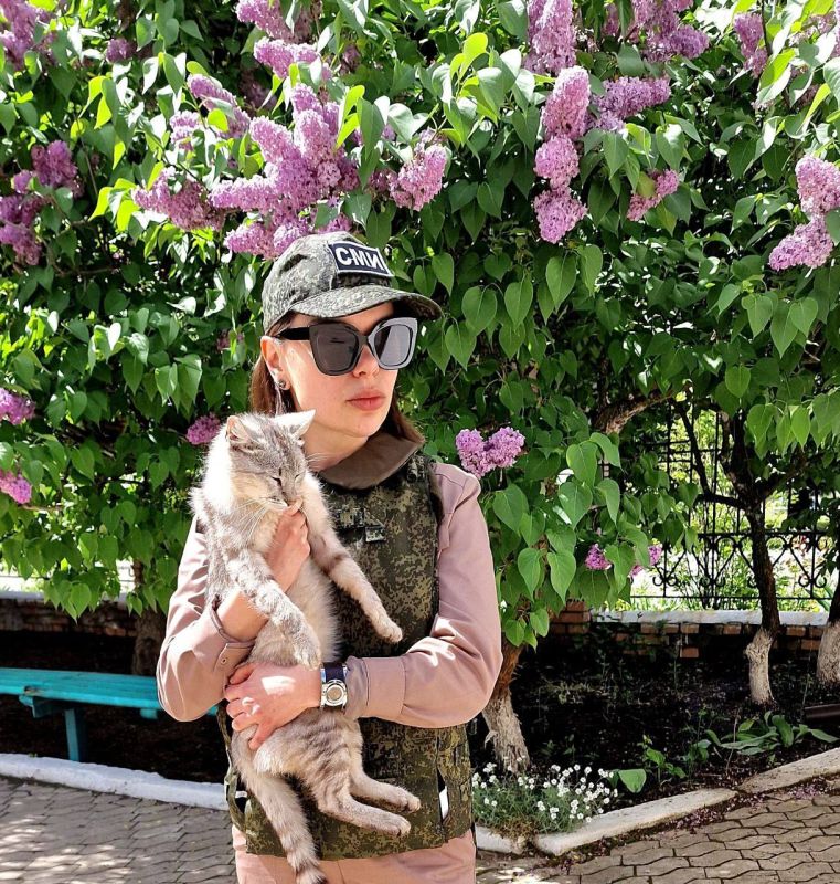 �������� ��������: ������� ��������� ������� �������� ������� ���� �������� ������� ������� ���������