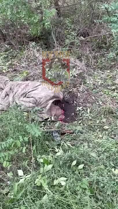 �� ����� ������� ������� �������� ������� �� ���������
