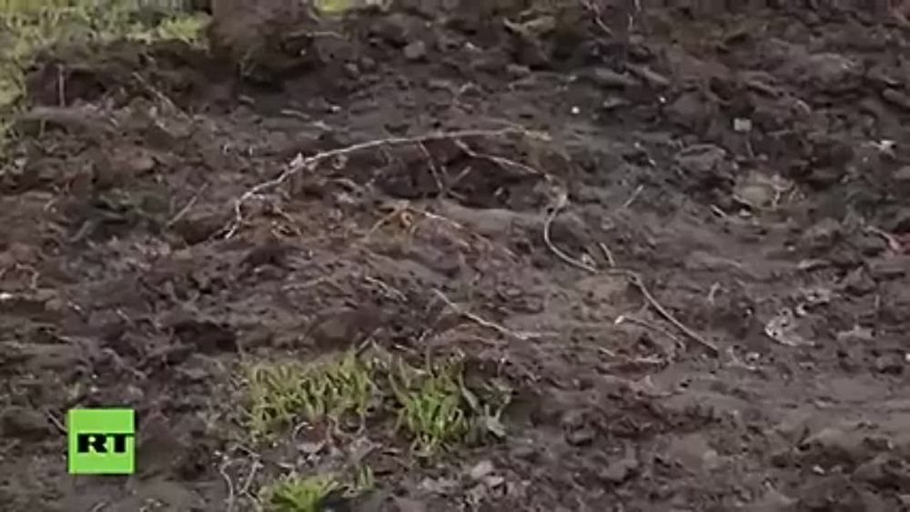 �������� ��������� ���������� RT �� ���������� � ����������