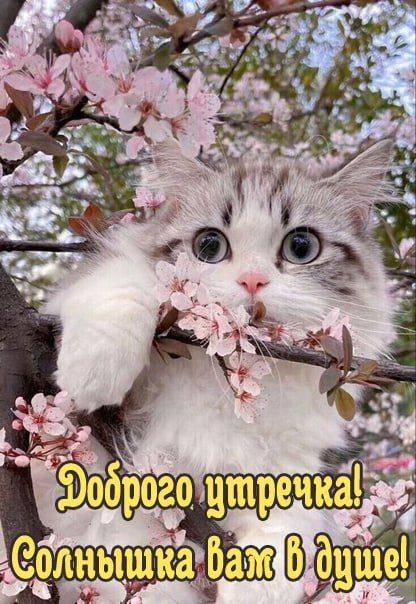 Доброго утра! Пусть новый день подарит много солнца, энергии, позитива и успехов