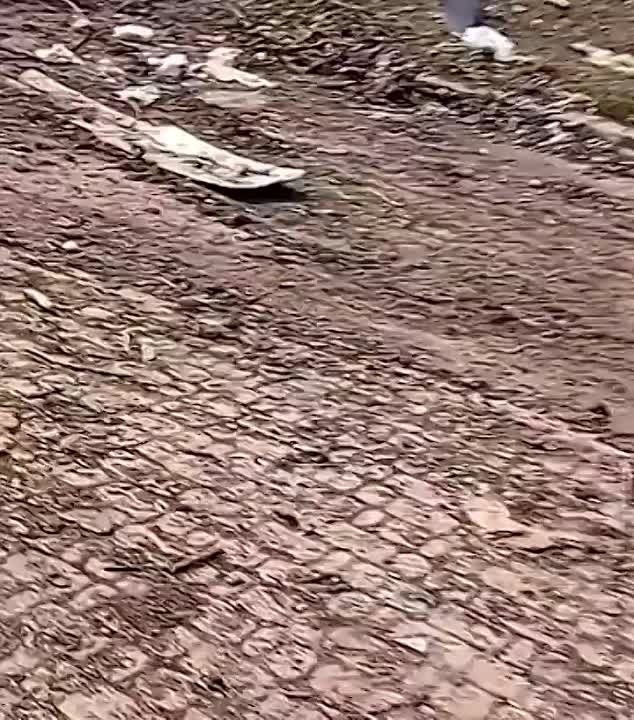 ���������� ��������� ����� ����� "���������� ���������"