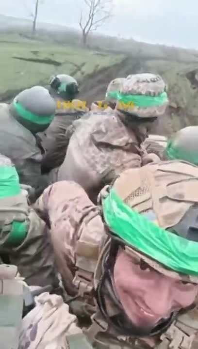 ���������� ������������ �� ��� ������ �������� ��������� (������)