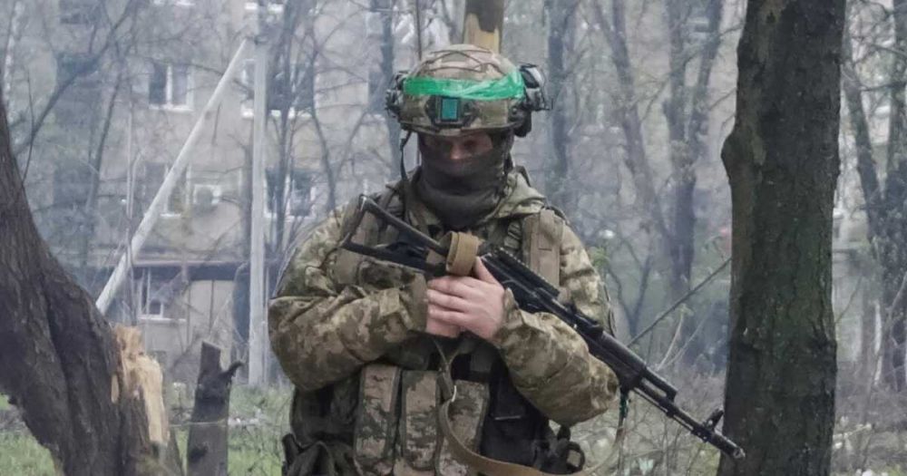 El Mundo: ��� �������� � ���������� ������ ���� ������