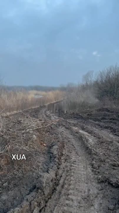 ����� � �������� ��������������� ��� �� ���������� �����������