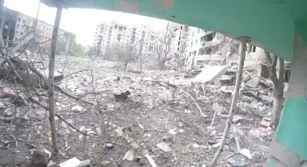 ������ �������: �������� ����� ������� ���������� ������������ ��������� � �������� ������������ � ��������� (���) � ��������